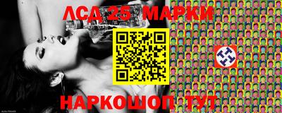 спиды Кингисепп
