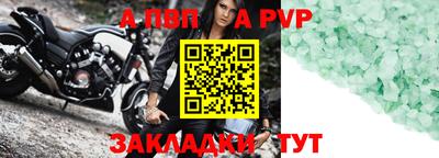 спиды Кингисепп