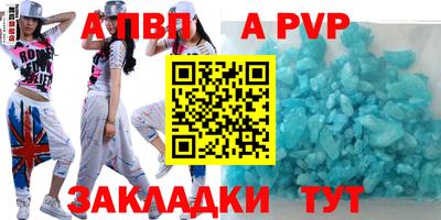 спиды Кингисепп