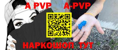 спиды Кингисепп