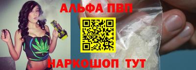 спиды Кингисепп